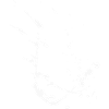Farbspritzer - Spritzer / Fleck - Abstrakt