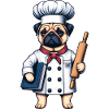 Chef-Chef Pug in the kitchen
