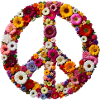 peace flower logo