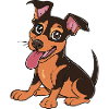 cute German Pinscher - Sunny