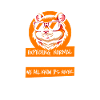 Hamster Hamster doré