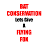 Bat Conservation