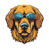 Golden Retriever Dog Head Cool