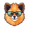 Pomeranian Dog Pomeranian Cool