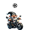 Fast Biker Motorcycle Gnome