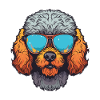 Caniche Tête De Chien Cool