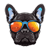 French Bulldog Dog Head