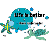 Life1