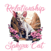 Sphynx Kitten Sphynx Cat