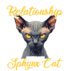 Sphynx Kitten Sphynx Cat