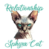 Sphynx Kitten Sphynx Cat