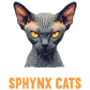 Sphynx Kitten Sphynx Cat