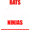 Bats Nature's Night Time Ninjas