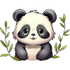Red panda