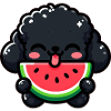Summery poodle with watermelon