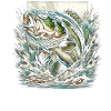 Bass Fish