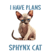 Sphynx Kitten Sphynx Cat