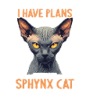 Sphynx Kitten Sphynx Cat