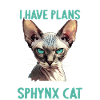 Sphynx Kitten Sphynx Cat