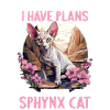 Sphynx Kitten Sphynx Cat