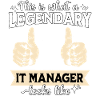 Responsable informatique légendaire
