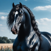 L’élégance du cheval