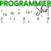 Programmierer Developer Code Statement Skripting