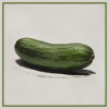 Eine Gurke