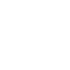 Corgi