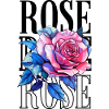 Roses Flower - Rose