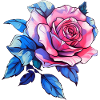 Fleurs de roses - Rose