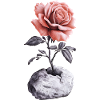 Red Pink Rose Breaks Stone