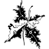 Floral ornament