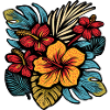 Hibiscus