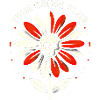 Skull Bloom Enigma