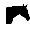 Horse Head Logo