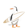 Surf pingouin drôle surfeur cadeau