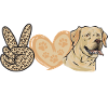 Labrador Retriever jaune