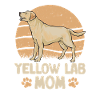 Yellow Labrador Retriever