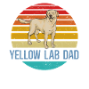 Yellow Labrador Retriever