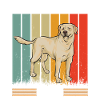 Yellow Labrador Retriever