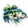 Bass Fish