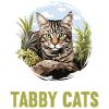 Tabby Kitten Tabby Cat