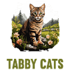 Tabby Kitten Tabby Cat