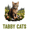 Tabby Kitten Tabby Cat