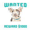Frenchie PERSONAL STALKER RECHERCHÉ $1000