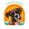 Le boxeur allemand LIFE'S RUFF OBTENEZ UN PROPRIÉTAIRE DE BOXER