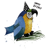 Happy Birthday Parrot Illustration