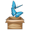 Boîte à papillons
