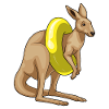 Kangaroo Swimming Swim Ring Summer
